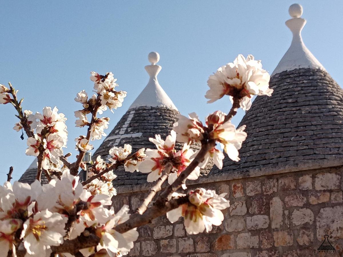 Il Mandorlo Villa Ostuni Kültér fotó
